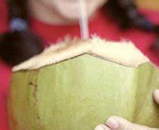 椰腾椰子汁怎么代理,万宁首家椰子汁加工厂投产