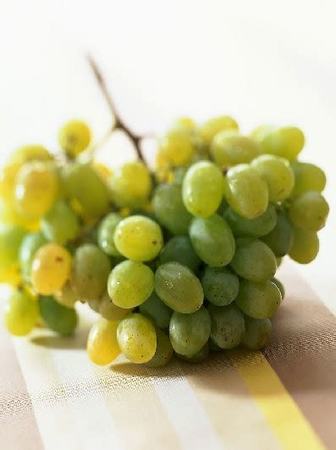 白葡萄怎么酿造葡萄酒,酿造葡萄酒的过程