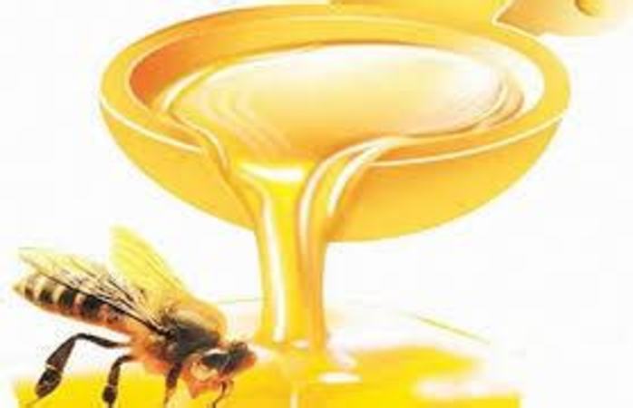 蜂子泡酒有什么功效,蜜蜂泡酒有什么用途