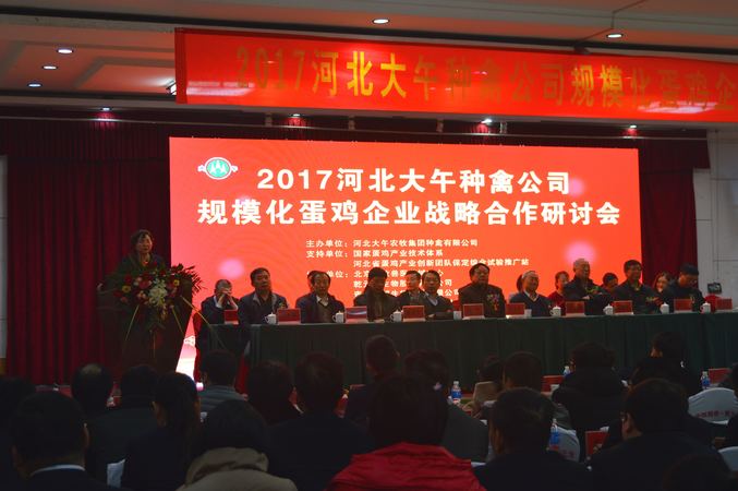 大午集团有多少钱(大午集团有多少公司)