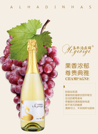 气泡白葡萄酒怎么喝(起泡白葡萄酒怎么喝)