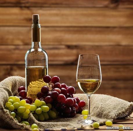 白葡萄酒常见葡萄品种(白葡萄酒常用的葡萄品种)