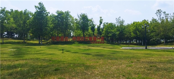 ​可雅白兰地，高品质走向世界